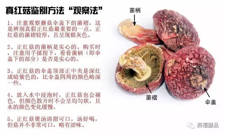 【燕禧膳品】红菇价格这般贵,它有什么营养价值及功效