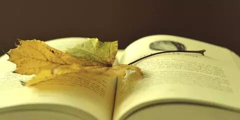 ʦ˵仰_Сʦ18799228849