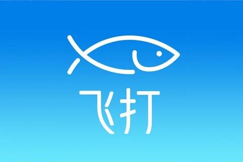 飞打