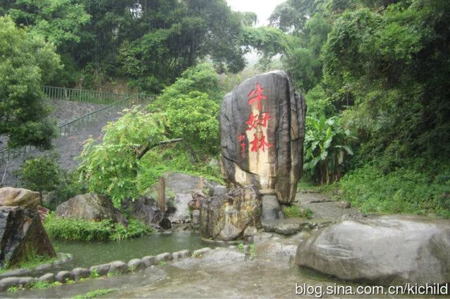 7月8月每日福州出发|闽南西双版纳永春牛姆林、北溪文苑、岵山古镇汽车二日游