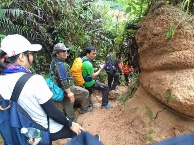 护理教学后记范本_教案护理后记基础写什么内容_基础护理教案后记怎么写