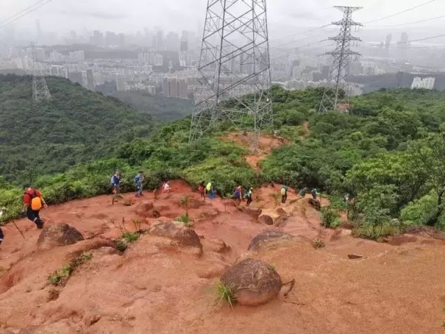 护理教学后记范本_基础护理教案后记怎么写_教案护理后记基础写什么内容