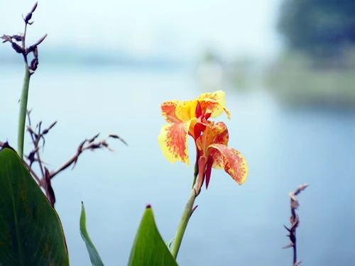 萱萱一脸幸福!刘维携全体学员表白《因为你是范晓萱》