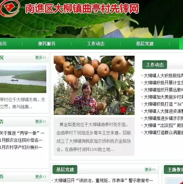 大柳镇三项举措规范万村网页更新维护工作