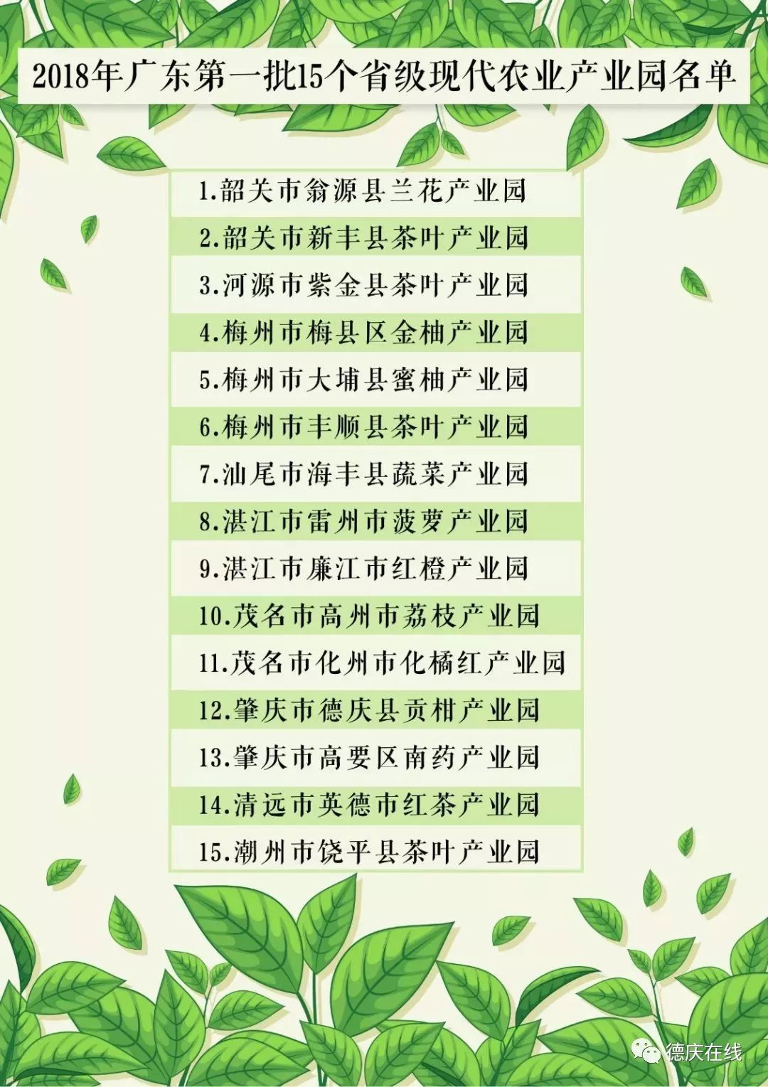 省财政直补5000万!德庆贡柑产业园上榜广东首批省级现代农业产业园