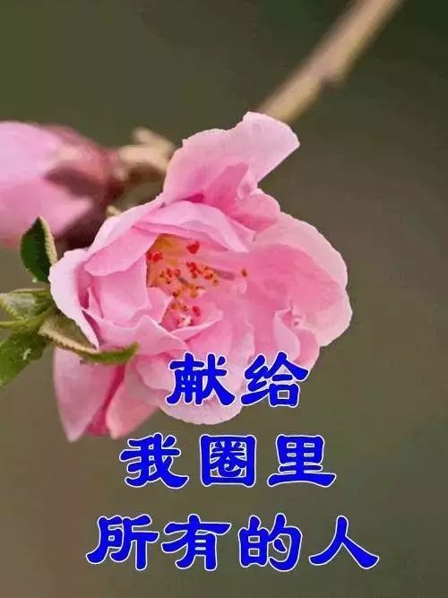 生病的感悟