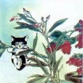 散文 | 《猫》