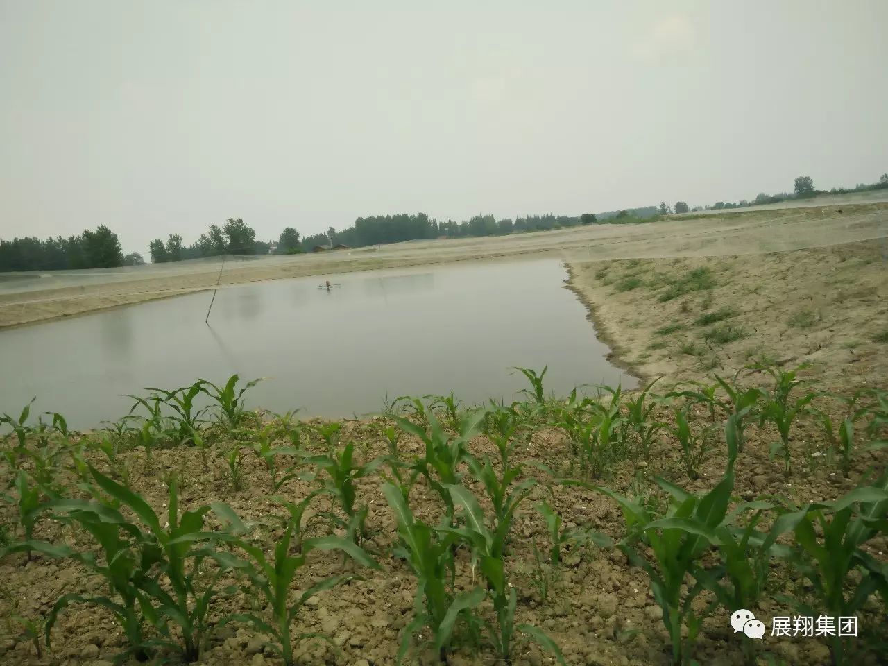 致富经泥鳅_致富泥鳅养殖技术_致富经泥鳅养殖视频全集