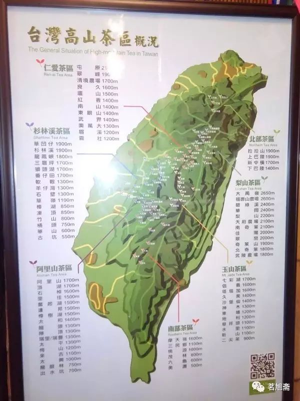 品鉴台湾大禹岭乌龙茶