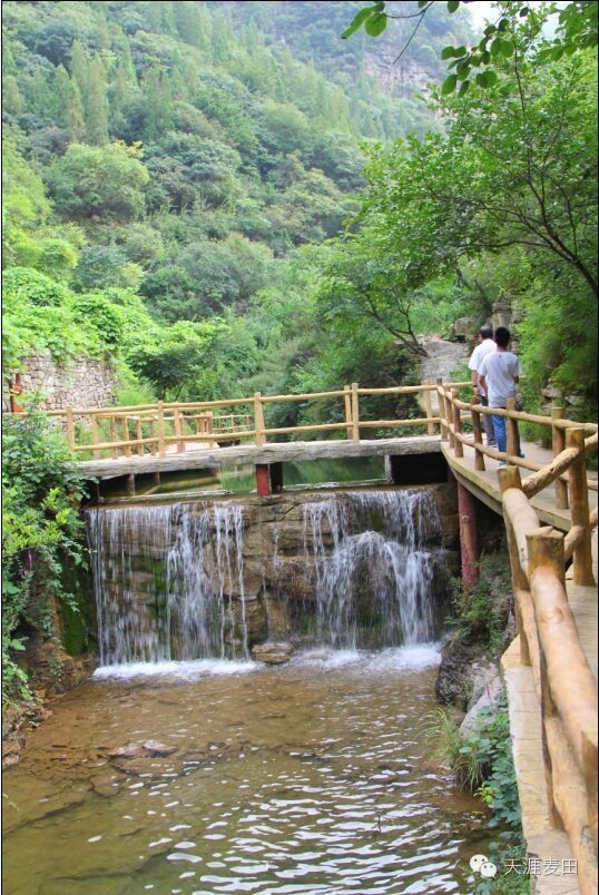 【公告】青州泰和山(黄花溪)景区冬季封山公告