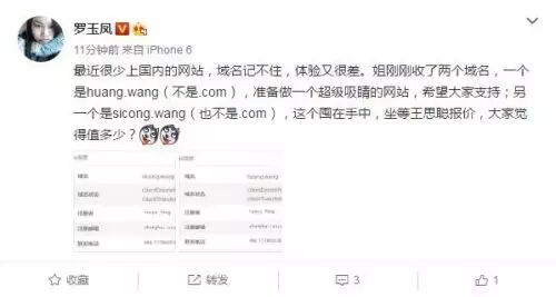 【九枝兰】“凤姐” 盯上了域名生意 还坐等王思聪来报价！-图片1