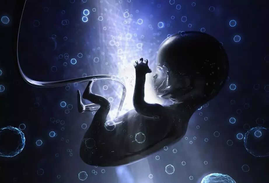 杨怡 | 我怪妈妈不关心我,她却连妈妈都没见过