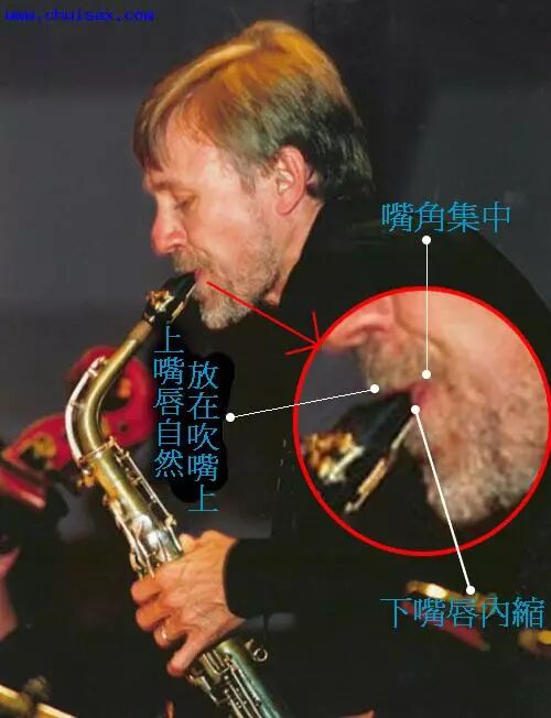 降e调萨克斯如何吹f调怎样吹_吹萨克斯官网_吹萨克斯网