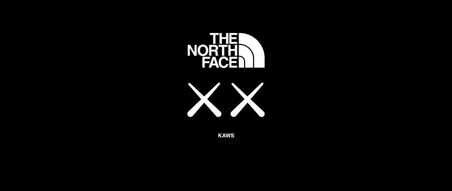 The North Face XX KAWS