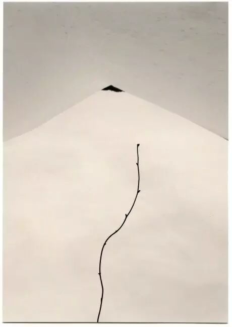 艺术家白云泽微讲座|画面中的"形式美"|免费报名