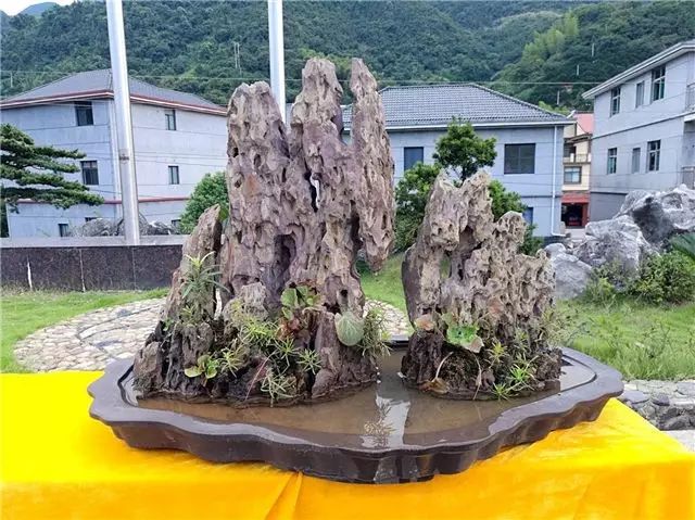 常山砚瓦山村村民制作的石笋石盆景