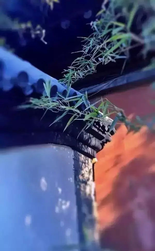 中国式瓦房,惊艳了谁的时光? - 夏季草原 - 夏季草原的博客 中国式瓦房,惊艳了谁的时光? - 夏季草原 - 夏季草原的博客