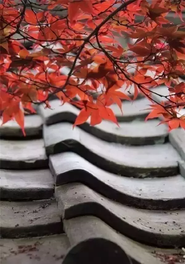 中国式瓦房,惊艳了谁的时光? - 夏季草原 - 夏季草原的博客 中国式瓦房,惊艳了谁的时光? - 夏季草原 - 夏季草原的博客