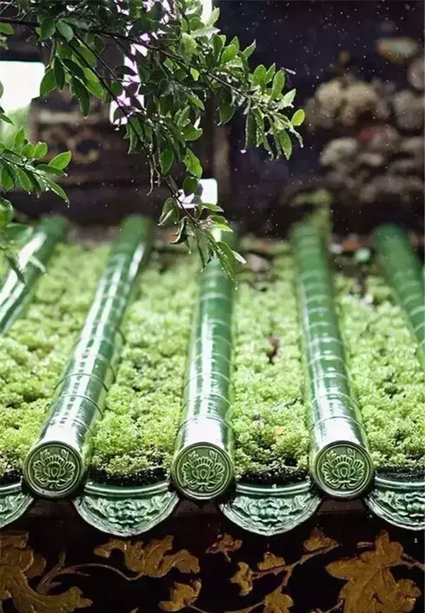 中国式瓦房,惊艳了谁的时光? - 夏季草原 - 夏季草原的博客 中国式瓦房,惊艳了谁的时光? - 夏季草原 - 夏季草原的博客