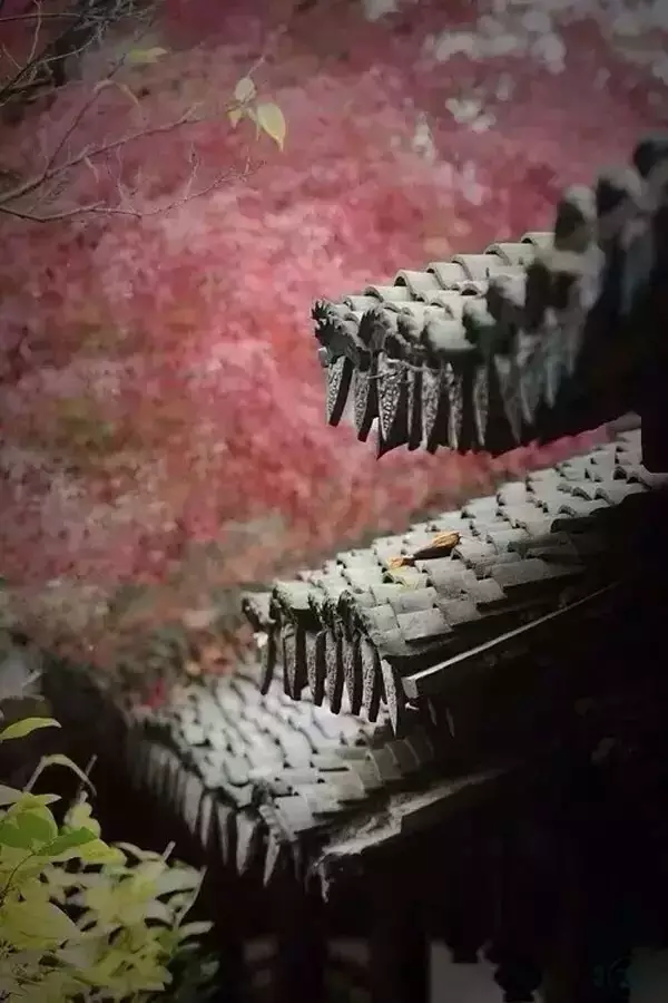 中国式瓦房,惊艳了谁的时光? - 夏季草原 - 夏季草原的博客 中国式瓦房,惊艳了谁的时光? - 夏季草原 - 夏季草原的博客