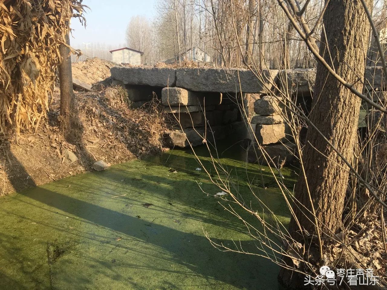 按村民的说法,这座桥就是一个奇迹因为枣庄峄城区古邵镇沈庄村距离
