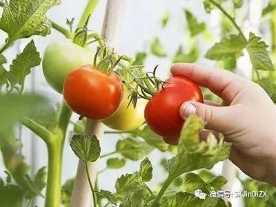 借鉴优质村庄规划经验材料_借鉴优质村庄规划经验材料_借鉴优质村庄规划经验材料