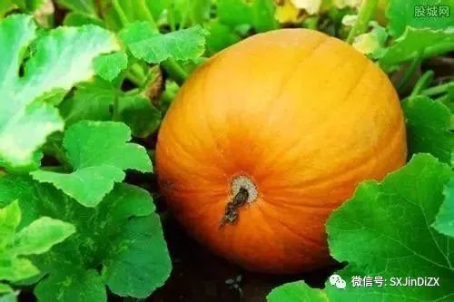 借鉴优质村庄规划经验材料_借鉴优质村庄规划经验材料_借鉴优质村庄规划经验材料