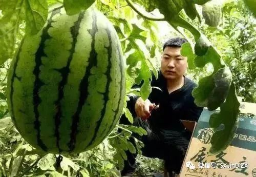 借鉴优质村庄规划经验材料_借鉴优质村庄规划经验材料_借鉴优质村庄规划经验材料