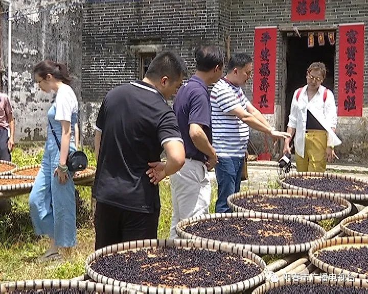 代表委员风采阳春政协委员李国欢走遍阳春山水挖掘地方政协文化