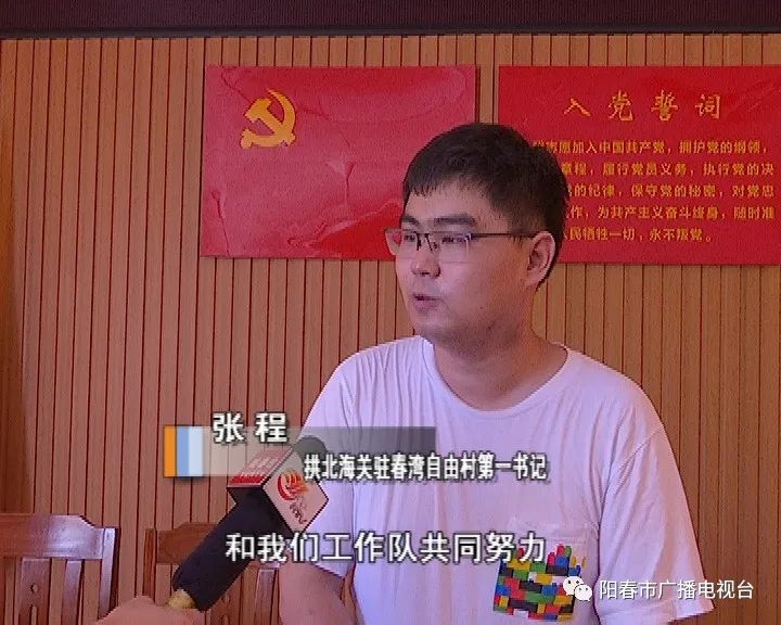 党旗飘飘阳春市春湾镇自由村党委建强农村基层党组织助推乡村振兴