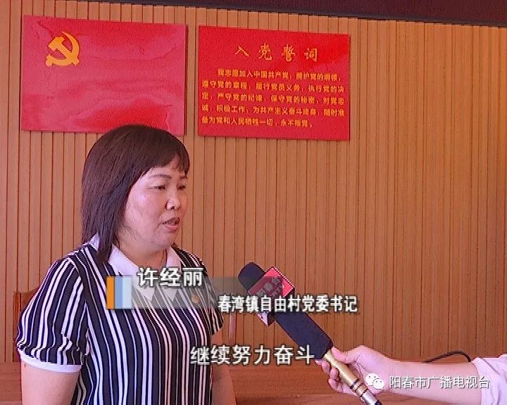 党旗飘飘阳春市春湾镇自由村党委建强农村基层党组织助推乡村振兴