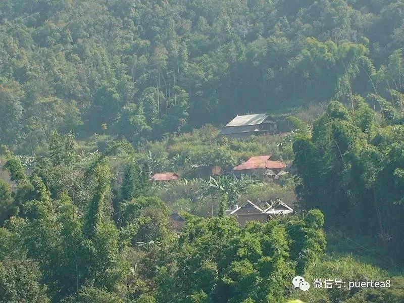 坝卡囡自然村隶属于布朗山乡班章村委会行政村,属于山区.