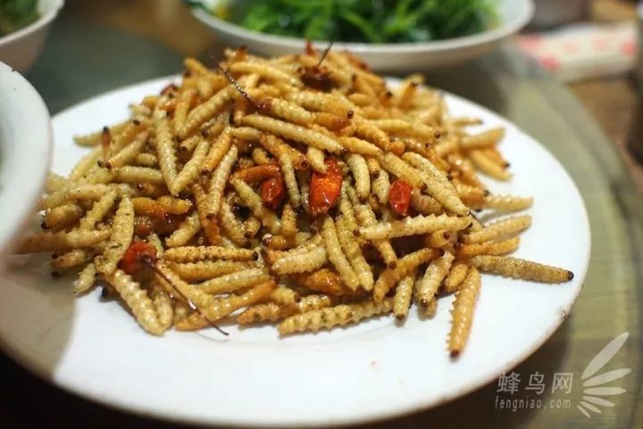 来元阳必定吃炸虫子