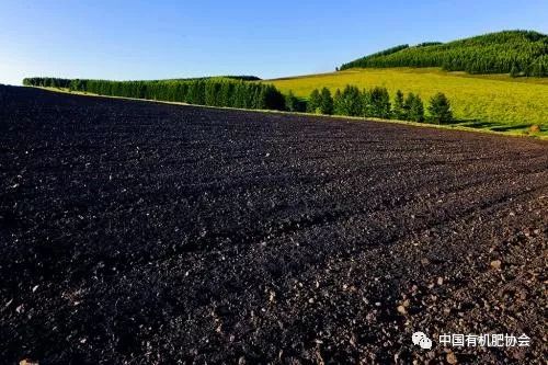 关注 秸秆还田为黑土地注入新活力