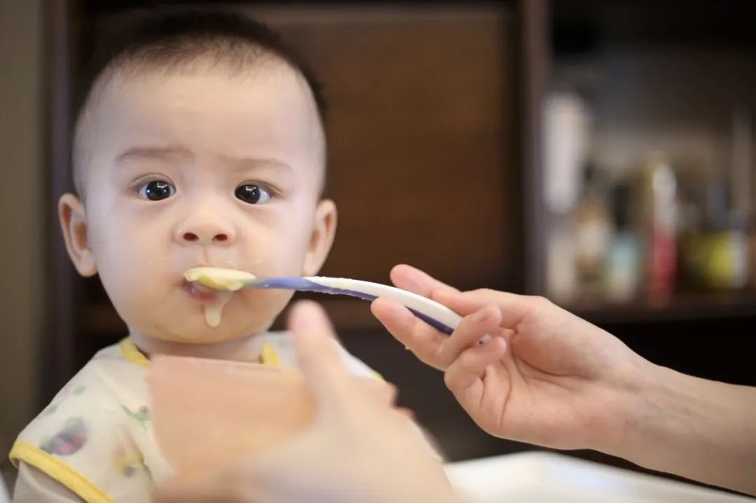 孕妇的营养汤品_营养达人刘品祥_宝宝营养品