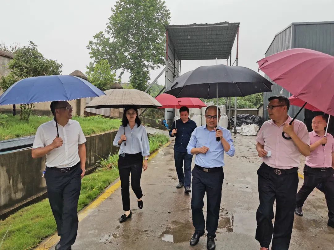 徐友洪一行先前往公溪镇工业园区绿能公司,恒塑铝膜