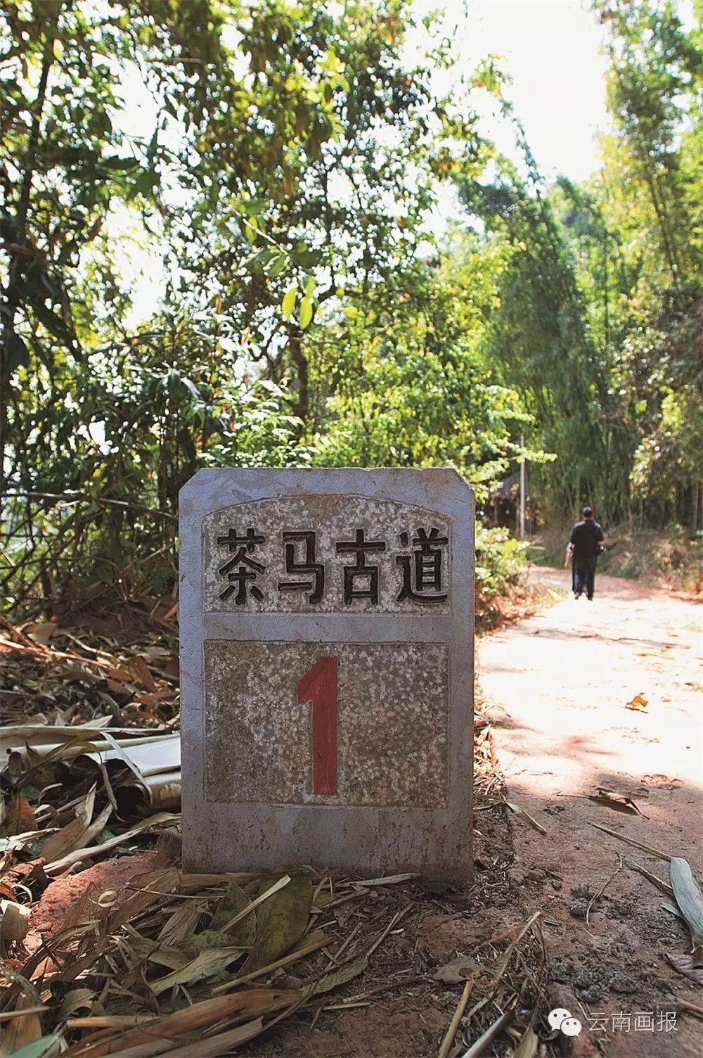 张恒钊/摄 在这条古道上,易武古镇,勐海,宁洱是著名的普洱茶运输始发