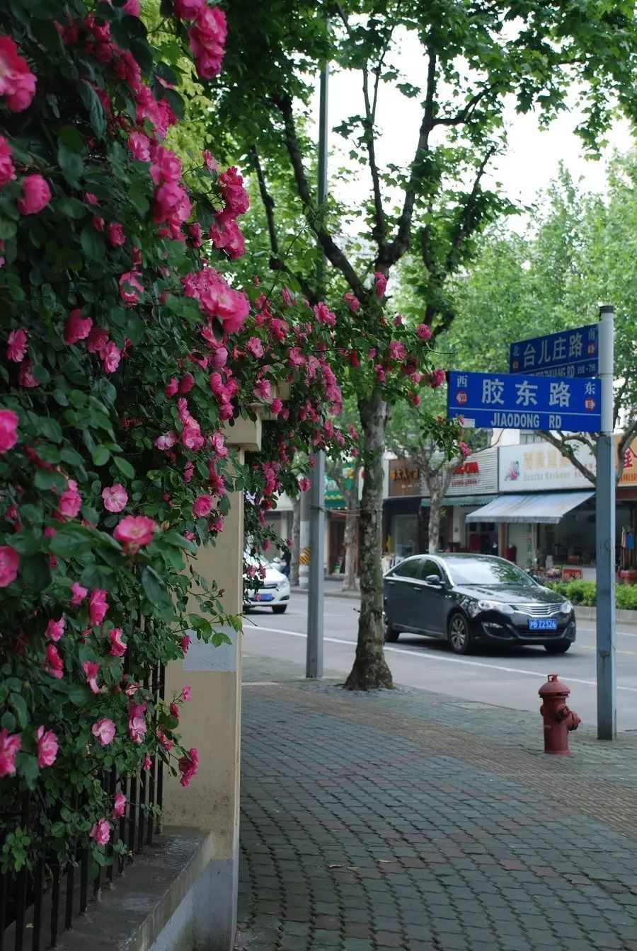 街鎮 浦興路街道 向著 美好家園 的目標再出發 浦東釋出 微文庫