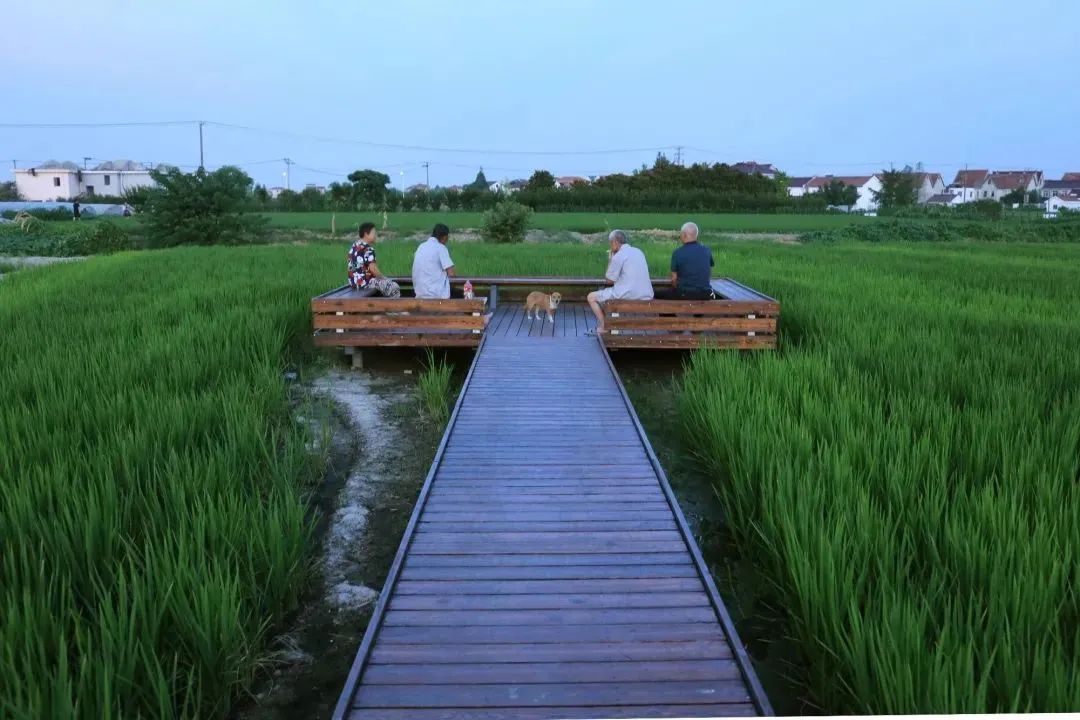 新时代的乡村生活怎么样跟着小编一起去看看吧