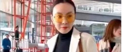 原形毕露 :张嘉译前妻___刘威葳