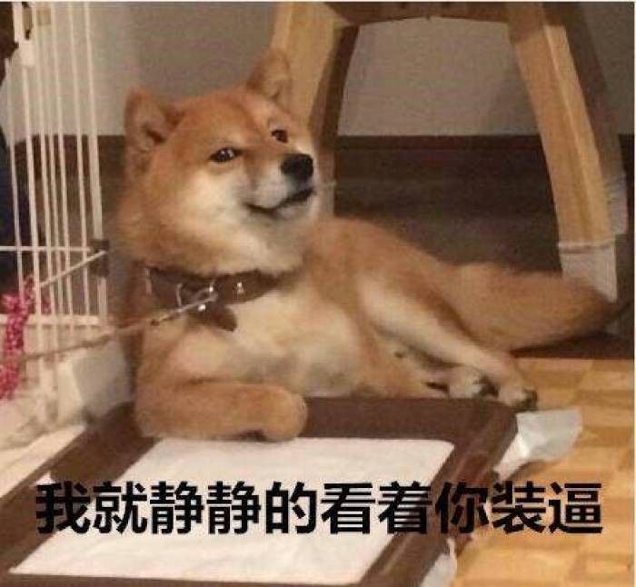 对不起,你的表情包被上帝带走了.-北京宠物狗狗联盟