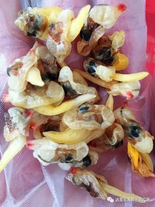 清洗方法:将蚬子干用
