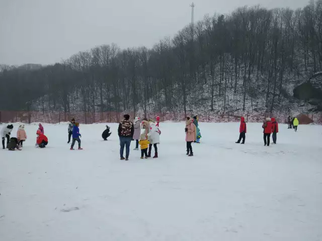 86376736661748625.jpg
