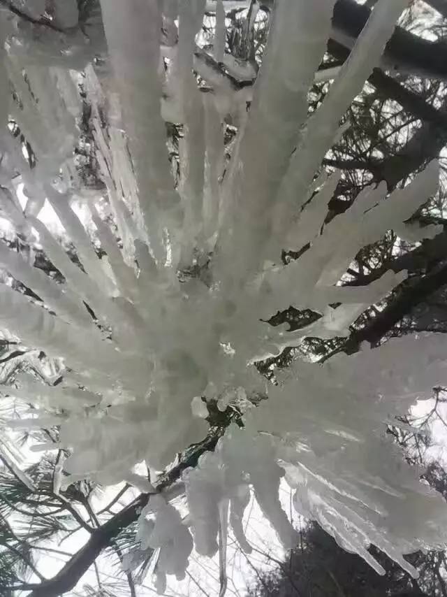 877166838433648695.jpg