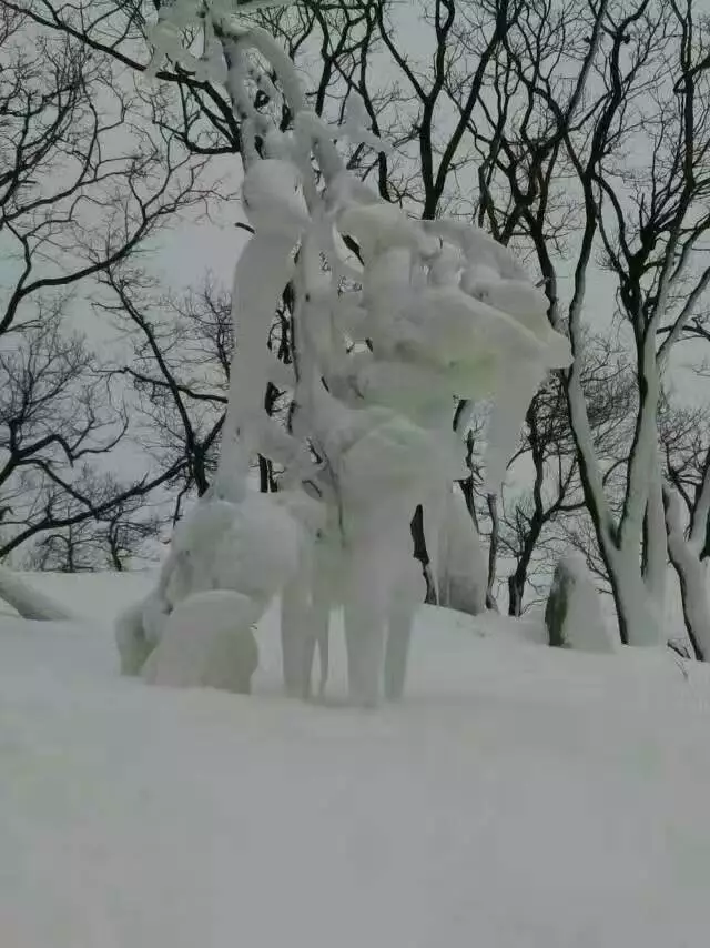 497048697421660913.jpg