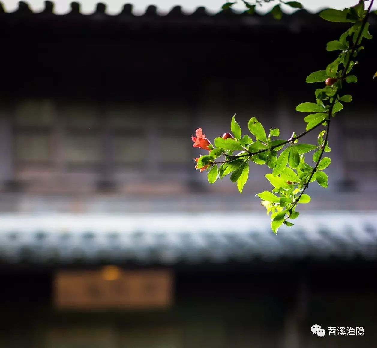 鸟鸣涧        唐 王维 人闲桂花落,夜静春山空.