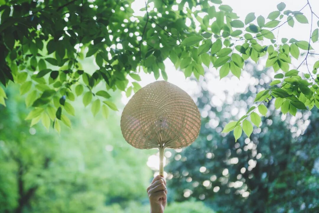 出汗有7大好处！看完，我默默把空调关了