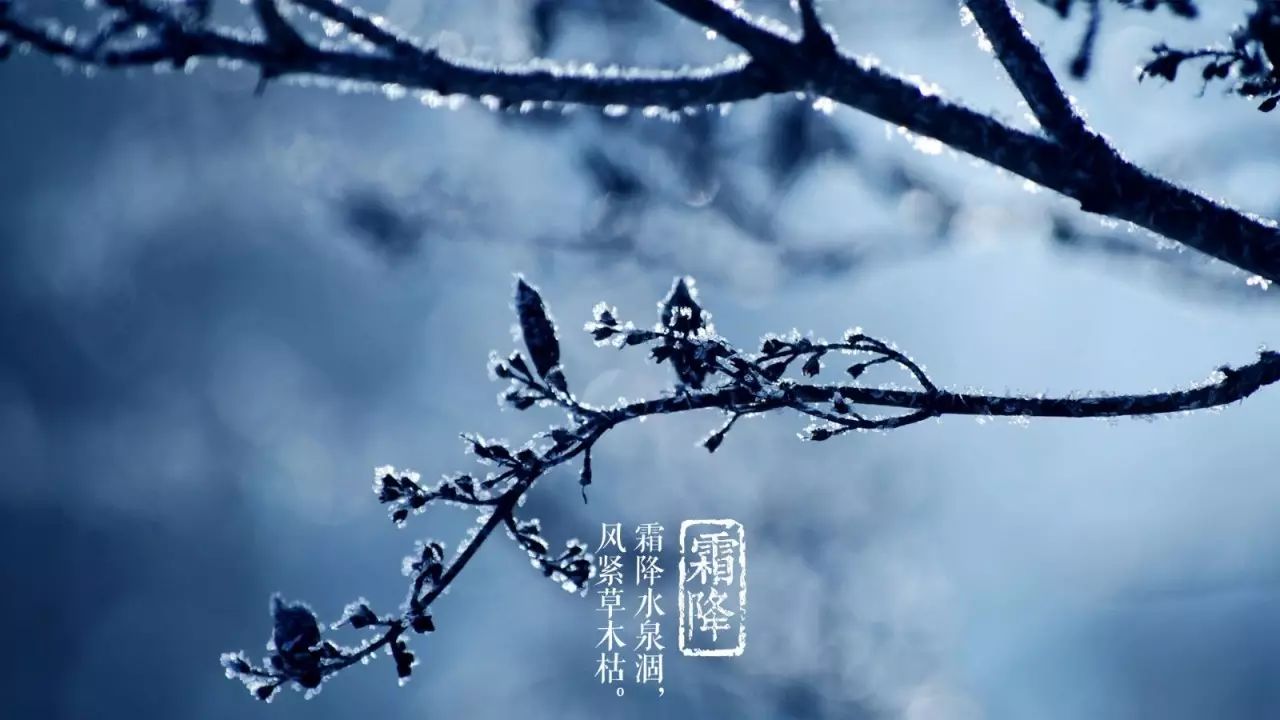 霜降诗词10首:秋深山有骨,霜降水无痕.回头云破处,新月报黄昏