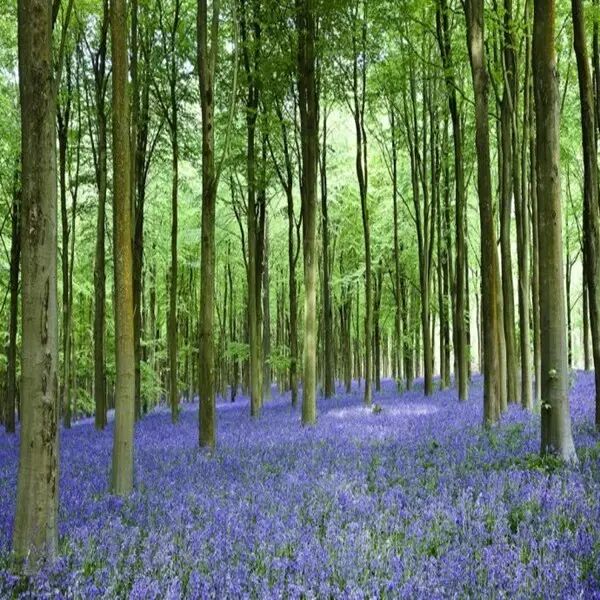 成语思字开头_思成语_成语思什么想什么