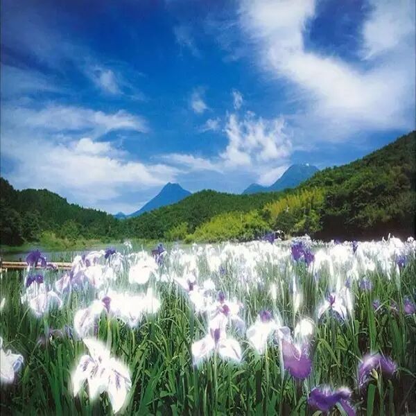 思成语_成语思什么想什么_成语思字开头